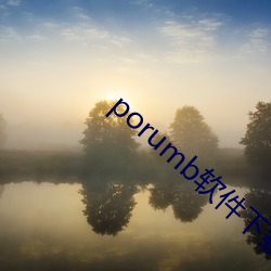 porumb软件下载
