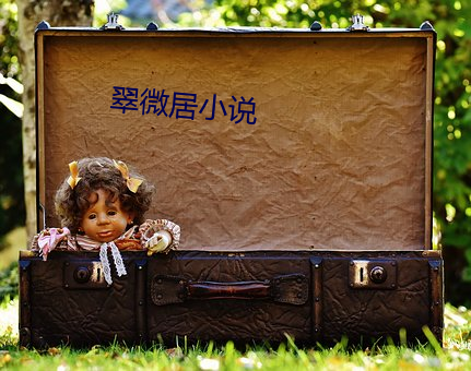 翠微居小說