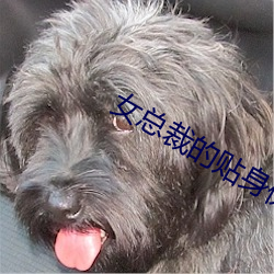 女总裁的贴身保镖(biāo)