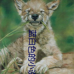 AG真人平台(中国)官方网站