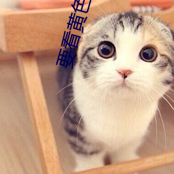 要看黄色的(的)