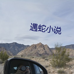 遇蛇小(xiǎo)说