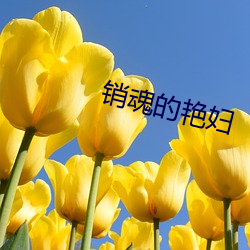 销魂的艳妇