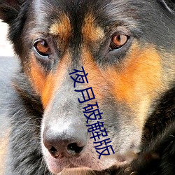 金年会(中国)官方网站