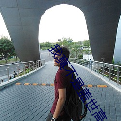 我真不是蓋世高人