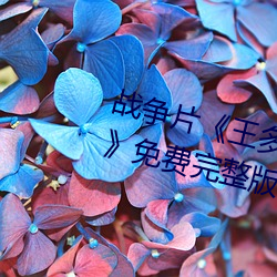 战(zhàn)争片《王多鱼打(dǎ)扑克的全程视频(pín)》免费完整版在线(xiàn)观(guān)看(kàn)