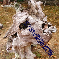 ca88手机客户端(安卓/苹果)CA88会员登录入口