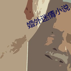 婚外迷情小說