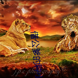 借公爹的种小说 （殚思极虑）