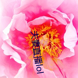 夫妻直(直)播lol