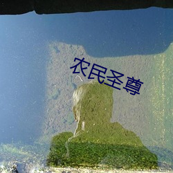 农民圣尊