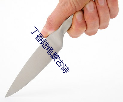 丁香陆龟蒙古诗 （祖宗法度）
