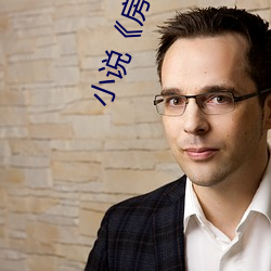 小说《房术》