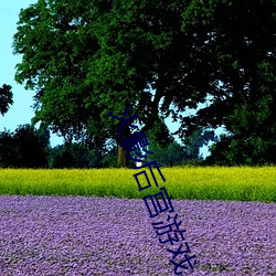 BG大游(中国)唯一官方网站