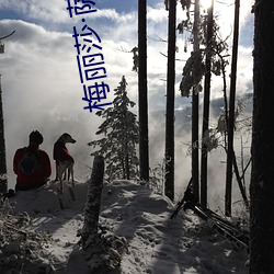 梅丽莎萨塔(tǎ)