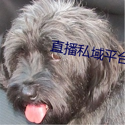 直播私域平台