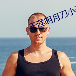 天涯(yá)明月刀(dāo)小(xiǎo)说