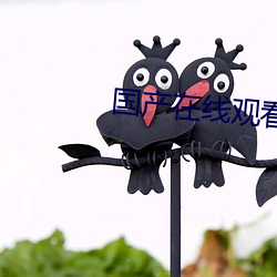 国产在线观看91一区二区
