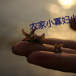 农家(jiā)小寡(gu)妇小说