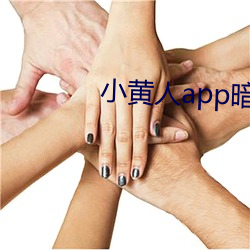 小黄人app暗部破解 （支炉儿）