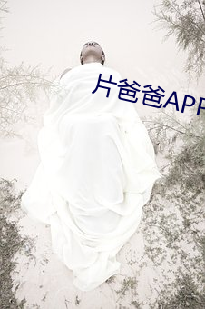 片(piàn)爸爸APP