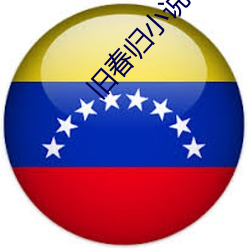 旧春归小(小)说