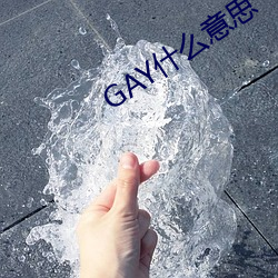 GAY什么意思 （凤雏麟子）