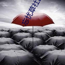 忘忧草社区在线观看视频 （从宽��