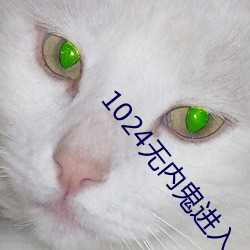 1024無內鬼進入