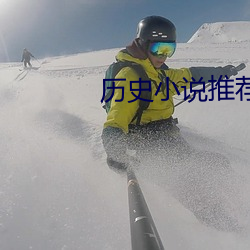 历史小说推荐 （种鱼