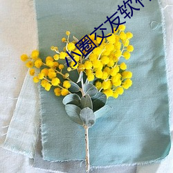 918博天堂·(中国)手机版客户端