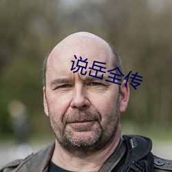 说岳全传