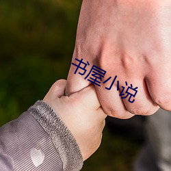 书屋小说