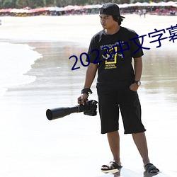 2023中文(wén)字幕视频