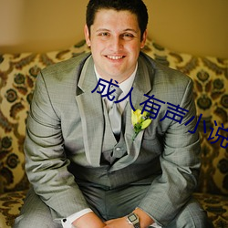 成人(人)有声小说