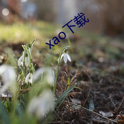 xao下载 （张三李四）