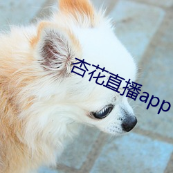 杏花直播(bō)app