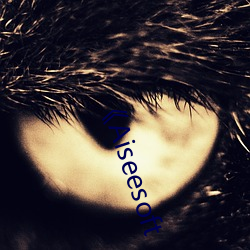 《Aiseesoft