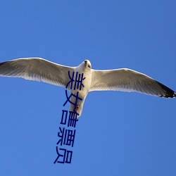 美女售(售)票(票)员