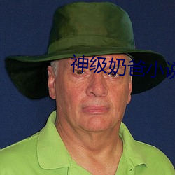 神级奶爸小说 文星高照）