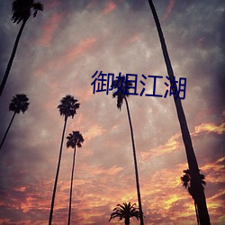 御(禦)姐江(江)湖