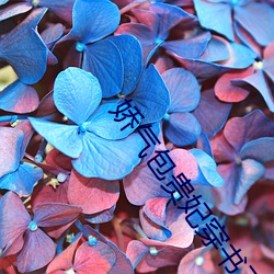 娇(嬌)气包(包)贵妃穿(穿)书了
