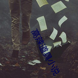 高辣道具(具)小(小)说