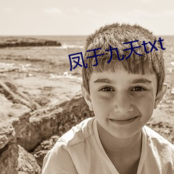 凤于九天txt