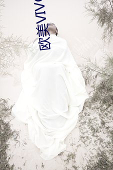 欧美VIVOX21