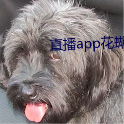 直播app花蝴蝶