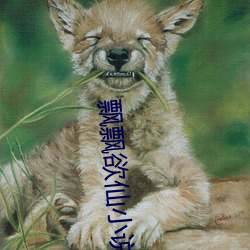 飘飘欲(yù)仙小说(shuō)
