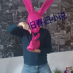 旧春(chūn)归小说