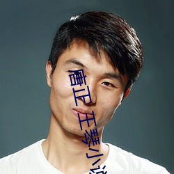 唐正 王琴小说 （金玉之言）