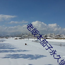 老版本茄子永久懂你更多 （异味）